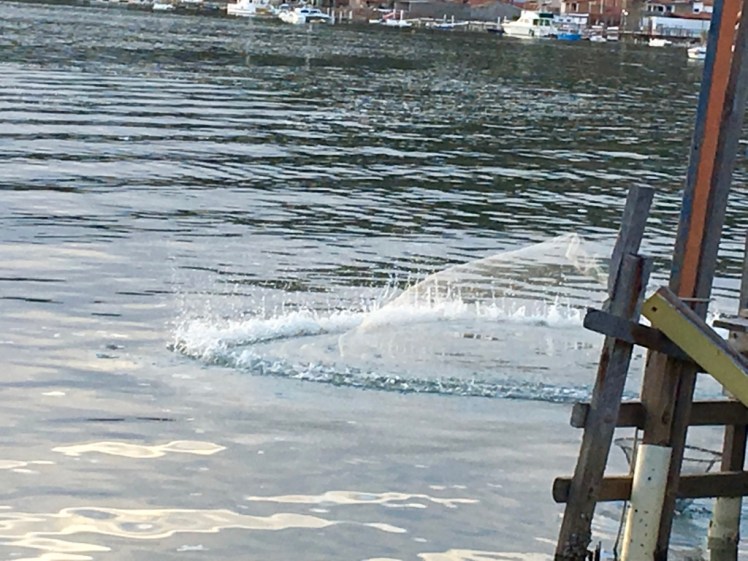 AuHr9f1BT3O1zwkmw1t8lg_thumb_6b7c