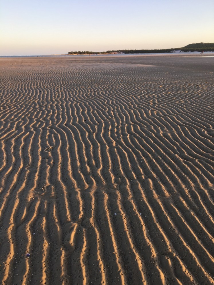 UNADJUSTEDNONRAW_thumb_6a03