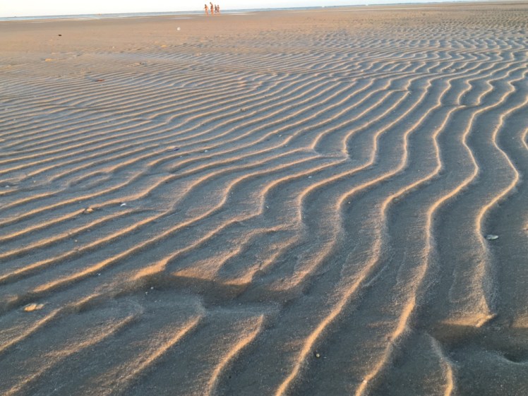 UNADJUSTEDNONRAW_thumb_6a13