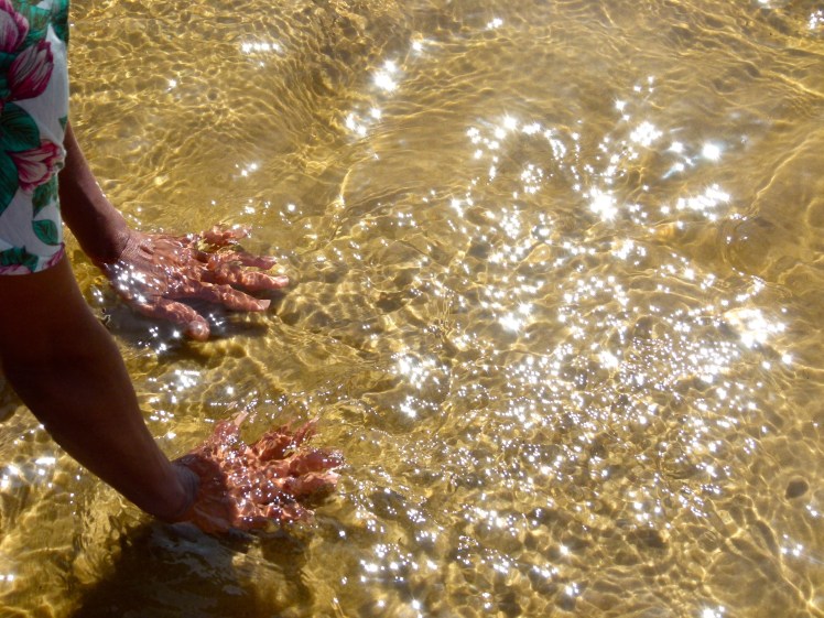 aguas doradas del Niquin