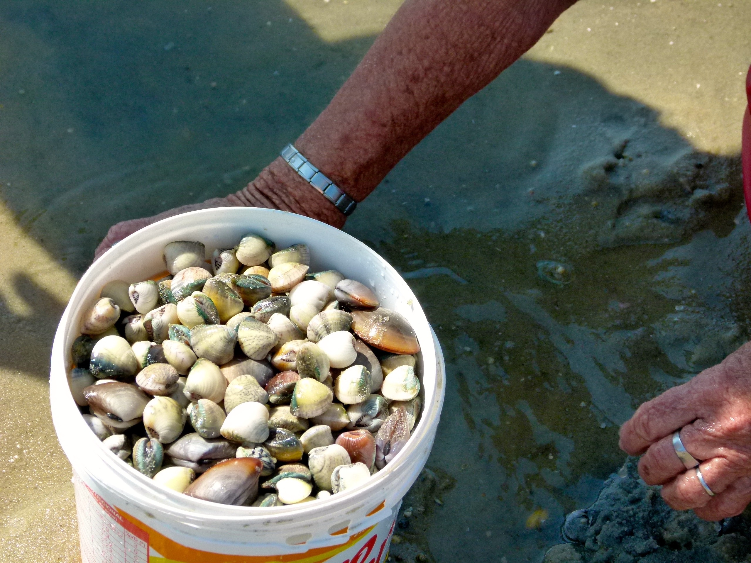 maçunim de la praia